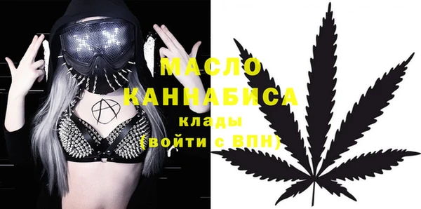 амф Вяземский