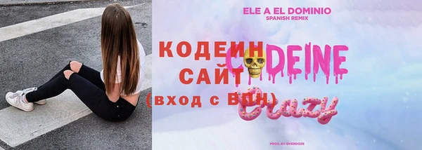 амф Вяземский