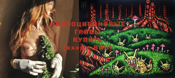 амф Вяземский