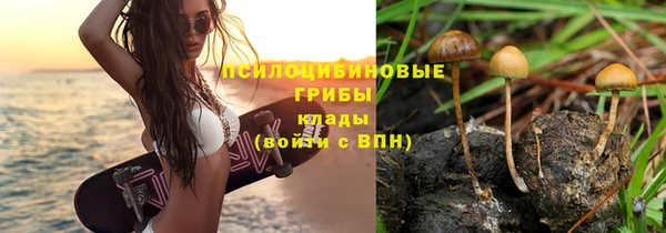 хмурый Покачи