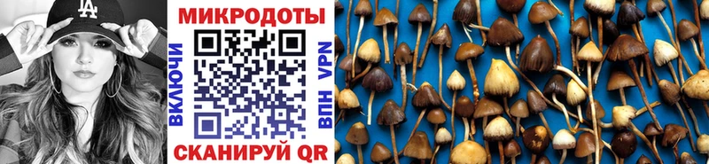 Псилоцибиновые грибы MAGIC MUSHROOMS  купить наркотик  Елец 